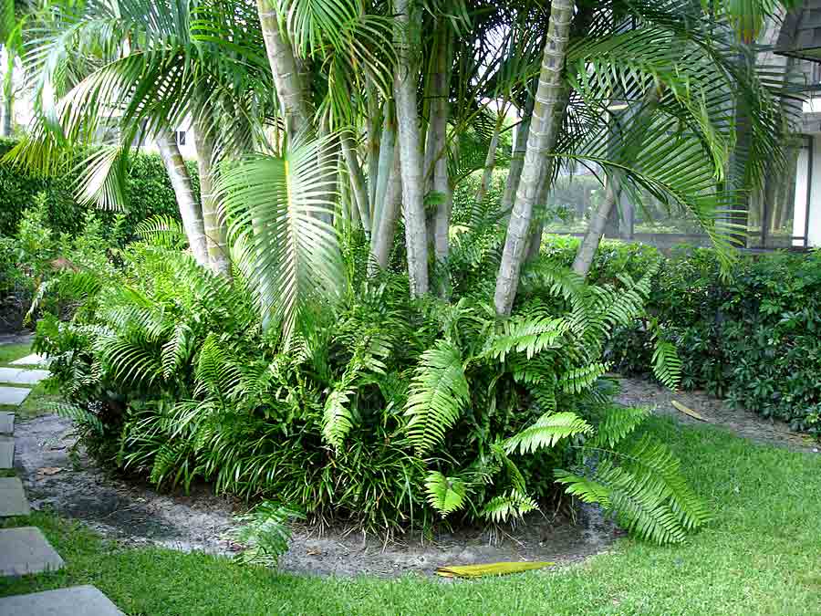 Gulf East Landscaping